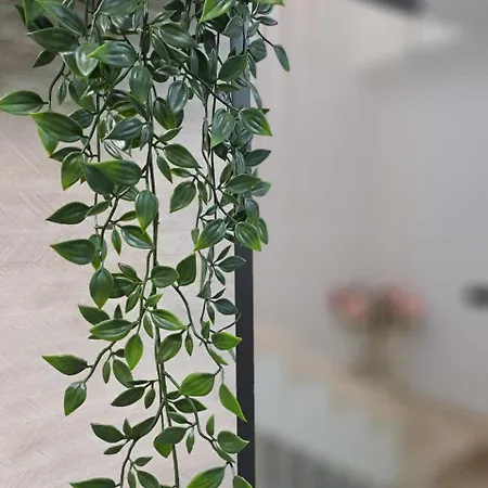 Apartament The E&n