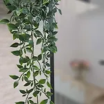 Апартаменты The E&n